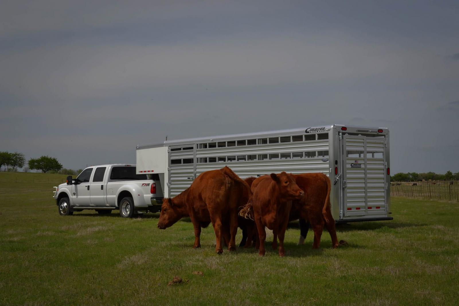 a Cimarron Liveing Quarter trailer